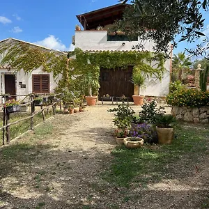 Casa Degli Ulivi 21 Hébergement de vacances Castellammare del Golfo